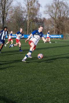 Bild 363 - wBJ Hamburger SV - Hertha BSC : Ergebnis: 2:1